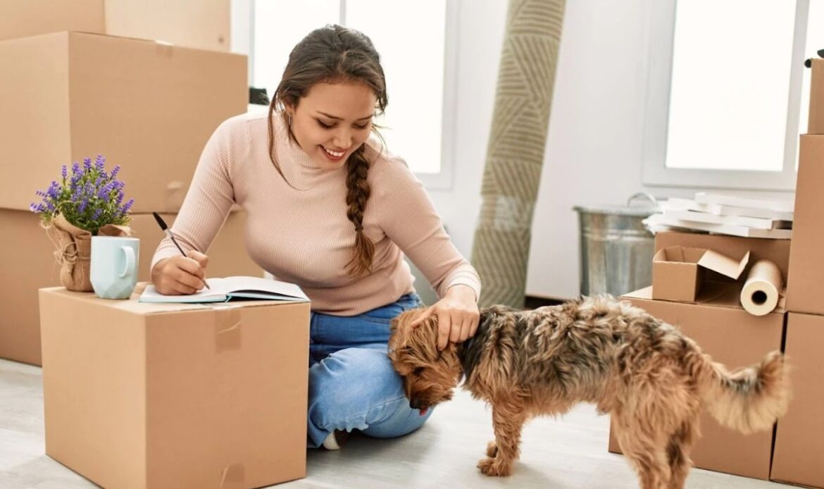 Dịch vụ gửi mèo Sài Gòn đi Phú Quốc – Pet Đi Xe